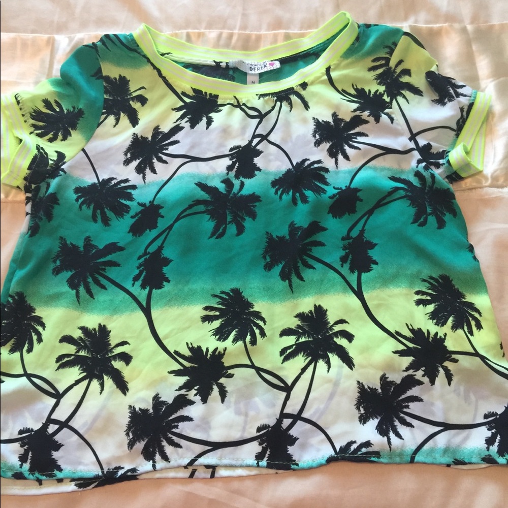 Green palm tree top